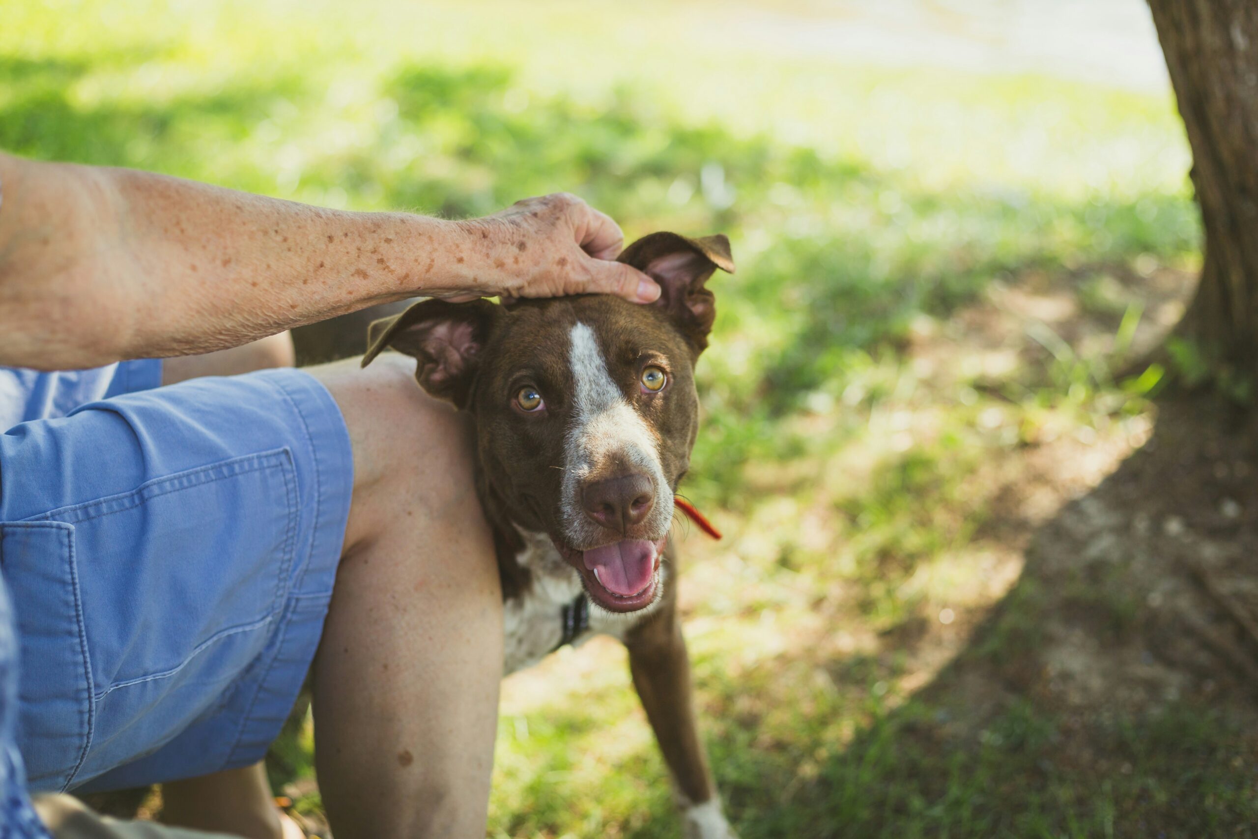 Evan Byron Cleveland Lawyer-Dog Rescue